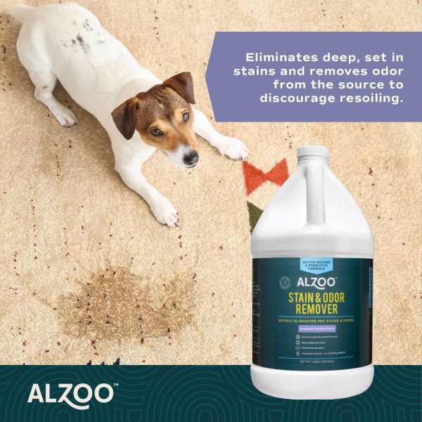 Alzoo Stain & Odor Remover Lavender Vanilla 1gal. For Sale