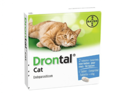 Drontal Cat 2 tablets   box Online