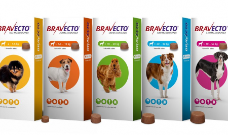 Bravecto Chews for Dogs (MSD®) Online