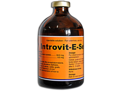 Introvit-E-Seleniu - Vitamin E & Selenium injection Online