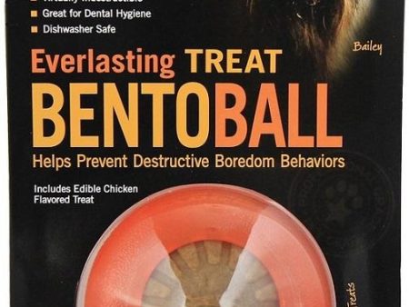 Starmark Everlasting Treat Bento Ball Dog Chew Toy Hot on Sale