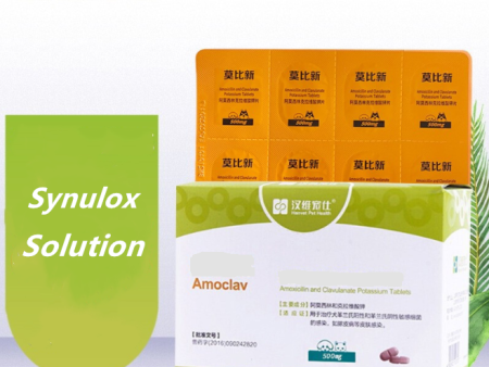 Amoclav-Amoxicillin and Clavulanate Potassium Tablets (Synulox Alternative) Sale