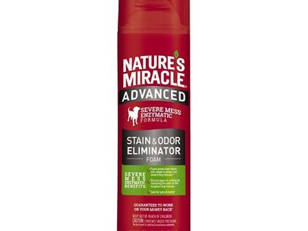 Nature s Miracle Adv S&O Eliminator Foam Dog 17.5oz* For Discount