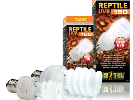 EXO-TERRA UVB BULB Reptile 150 (Desert Dwelling Reptiles) Online now