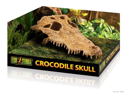 EXO-TERRA Crocodile Skull Sale