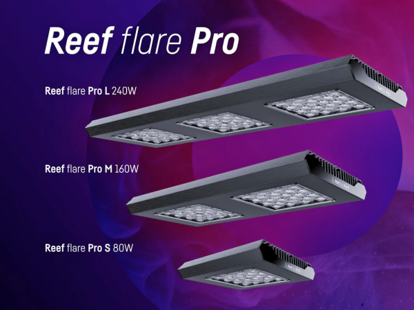 REEF FACTORY Reef Flare Pro Cheap