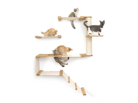 The Deluxe Fort - Modern Cat Condo (Wall Hanging Cat Tree) by Catastrophic Creations Online now