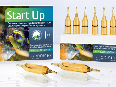 PRODIBIO Start Up (6 Vials) For Cheap