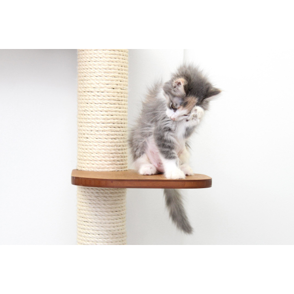 The Deluxe Fort - Modern Cat Condo (Wall Hanging Cat Tree) by Catastrophic Creations Online now