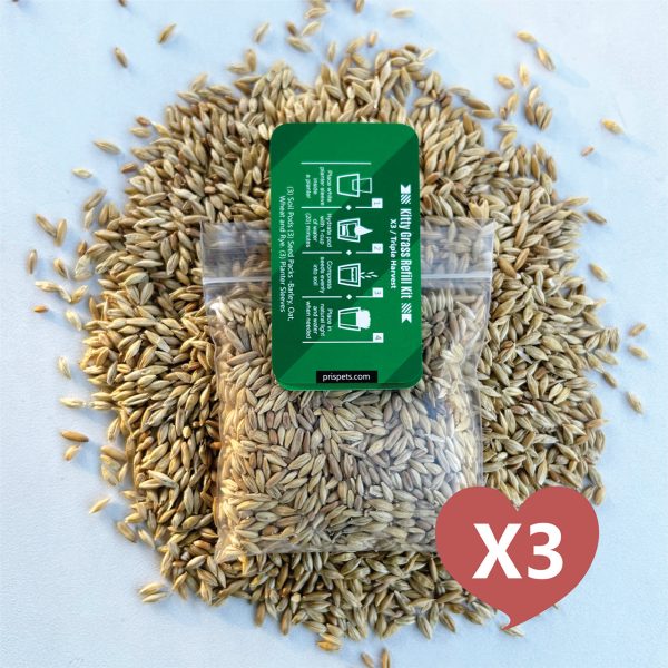 Cat Grass Seed Pack 3x by Three Farms Online