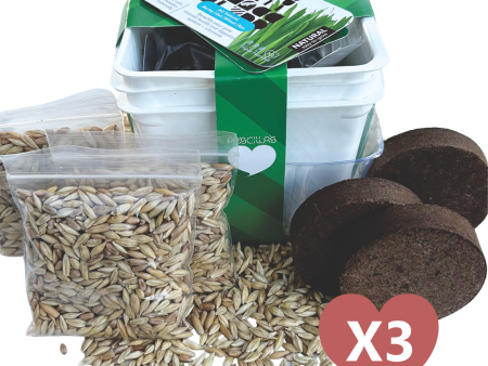 Grow Your Own Cat Grass Kits (3x) by Three Farms Hot on Sale