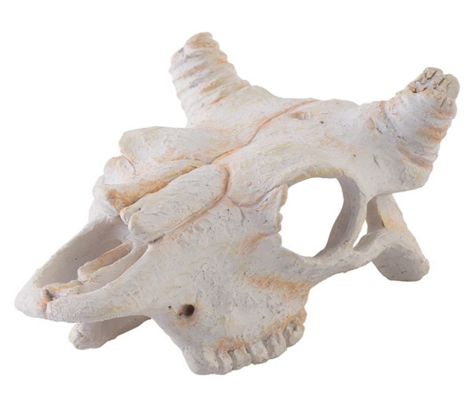 EXO-TERRA Buffalo Skull For Discount