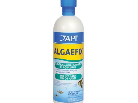 API Algaefix Cheap