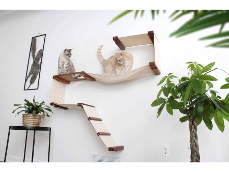 The Play Cat Condo - A Wall-Mounted Cat Tree by Catastrophic Creations Supply