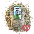 Cat Grass Seed Pack 3x by Three Farms Online