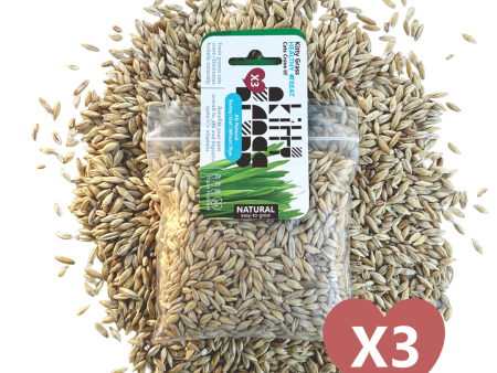 Cat Grass Seed Pack 3x by Three Farms Online