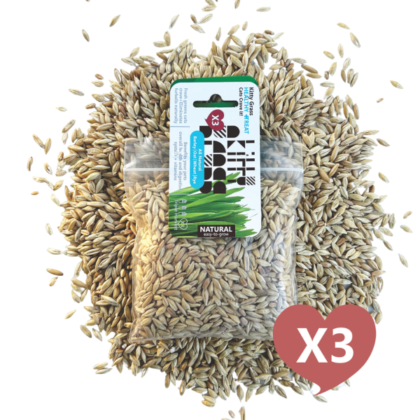 Cat Grass Seed Pack 3x by Three Farms Online