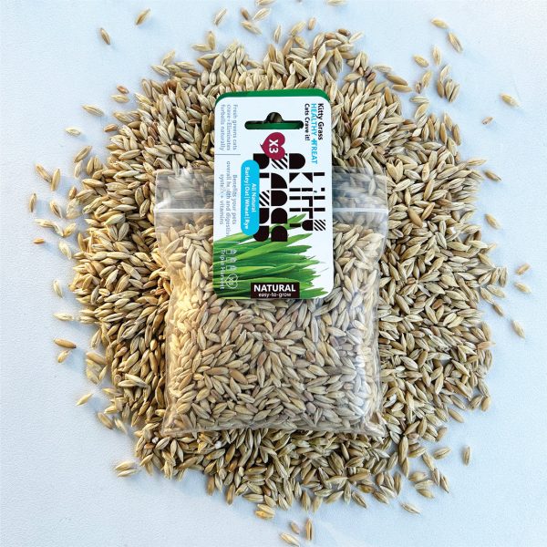 Cat Grass Seed Pack 3x by Three Farms Online