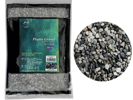 JUN Plant Gravel Discount