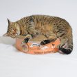 2 Pack - The Endless Buffet Scratch Pad by Square Paws Online