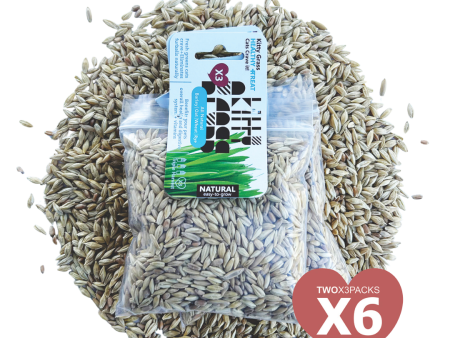 Cat Grass Seed Pack 6x by Three Farms Cheap