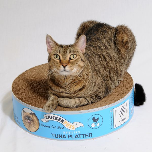 2 Pack - The Endless Buffet Scratch Pad by Square Paws Online