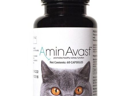 AminAvast Kidney Support Cat Supplement, 60 count Online now