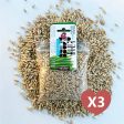 Cat Grass Seed Pack 3x by Three Farms Online