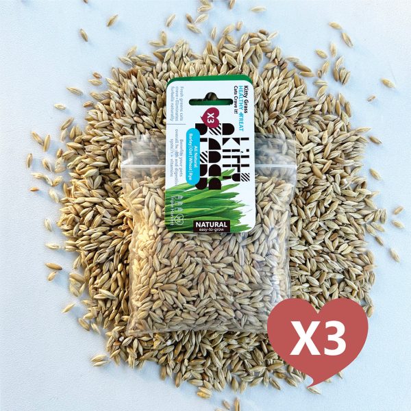 Cat Grass Seed Pack 3x by Three Farms Online