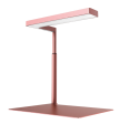 ONF FLAT Nano Stand (Rose Gold   For 30-36cm Tank) Discount