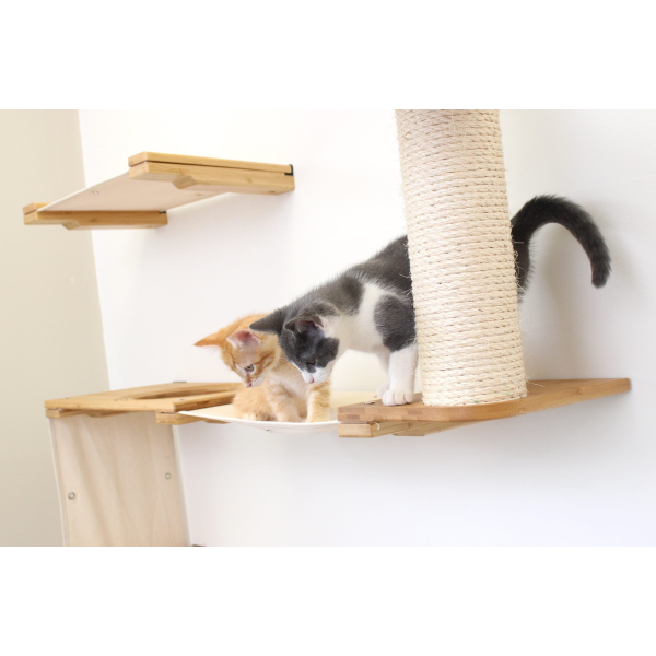 The Deluxe Fort - Modern Cat Condo (Wall Hanging Cat Tree) by Catastrophic Creations Online now