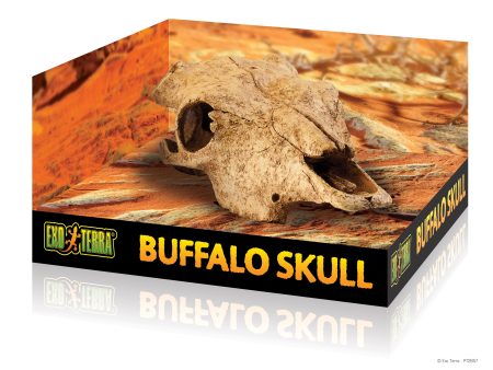 EXO-TERRA Cattle Skull For Cheap